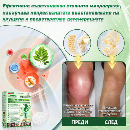 👩 𝐴𝑁𝐺𝐸𝐿𝑇𝑅𝐴𝑃® 𝐌𝐨𝐫𝐢𝐧𝐠𝐚 × 𝐁𝐞𝐫𝐛𝐞𝐫𝐲𝐧𝐚 × 𝐀𝐌𝐏𝐊 𝟏𝟎 в 𝟏 – Нано микроиглен пластир за отслабване|Само 𝟏× дневно ✅ Видими промени за 𝟕 дни – при затлъстяване, сърдечно-съдово здраве, диабет и ставни проблеми
